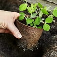 thumbnail image 3 of HORIALENCE 1 Set of Growing Planter Nursery Cup Paper Pulp Assorted Color Round for Friends Who Enjoy Gardening, 3 of 6
