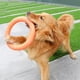 thumbnail image 4 of Círculo De Juego Juguete de entrenamiento para masticar con disco volador para perros resistente a las mordidas (naranja S), 4 of 4