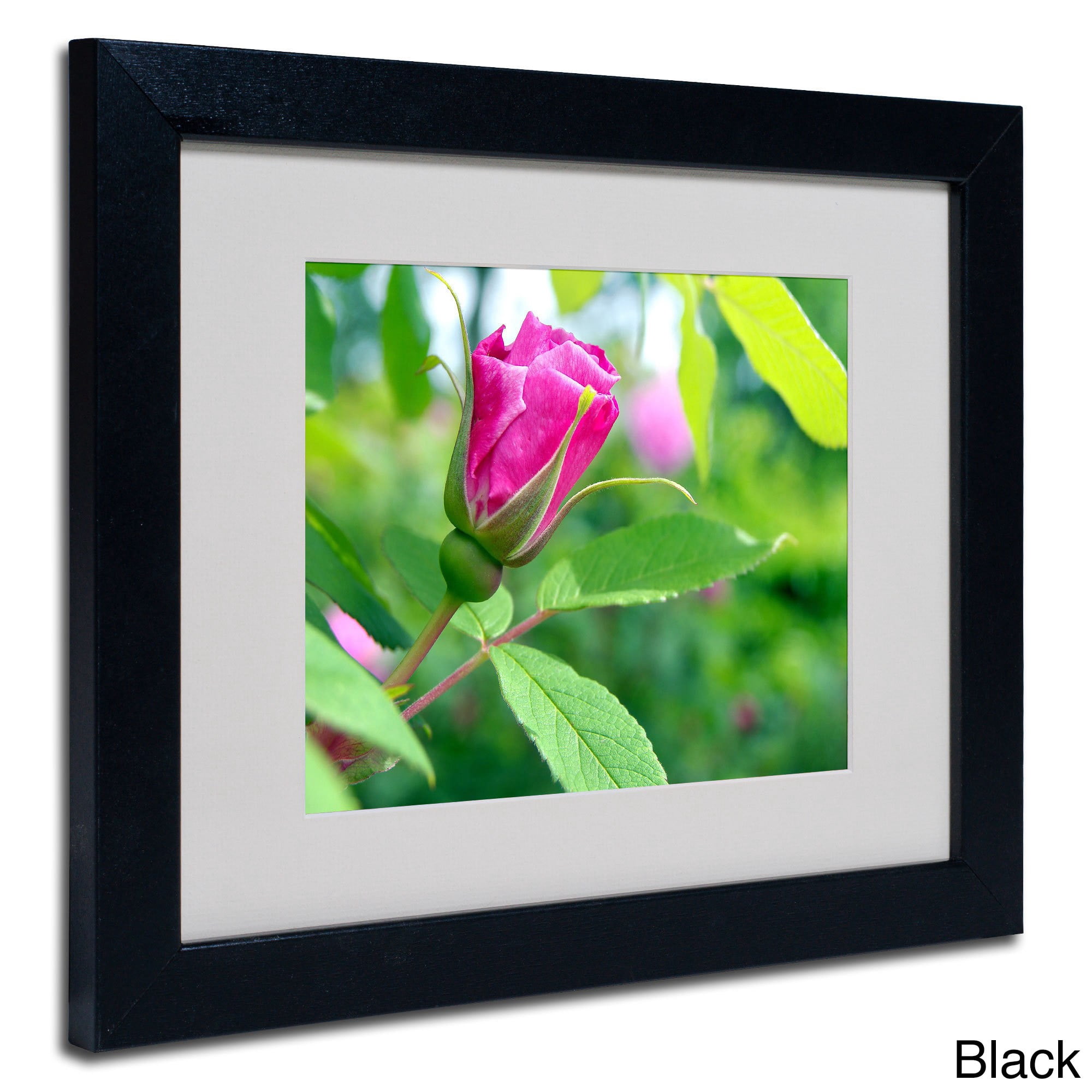 Trademark Fine Art "Unfolding Transformation" Canvas Art by Monica Fleet, White Matte, Wood Frame