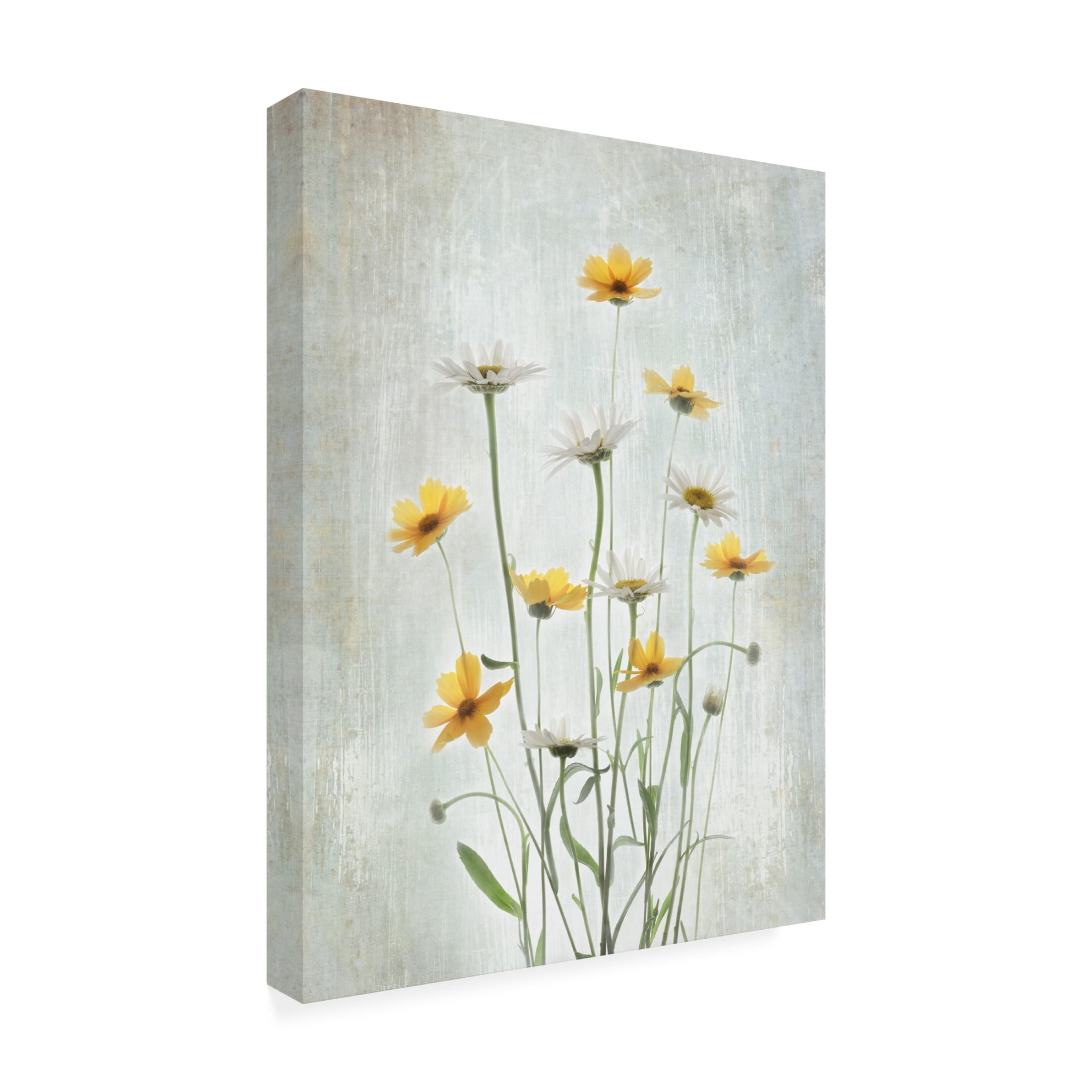 Trademark Fine Art Binbin L. Summer Flowers Canvas Wall Art