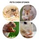 thumbnail image 2 of 12Pcs Pet Mineral Stone Chew Toy Teeth Grinder with Hole for Hamster Rabbit, 2 of 4