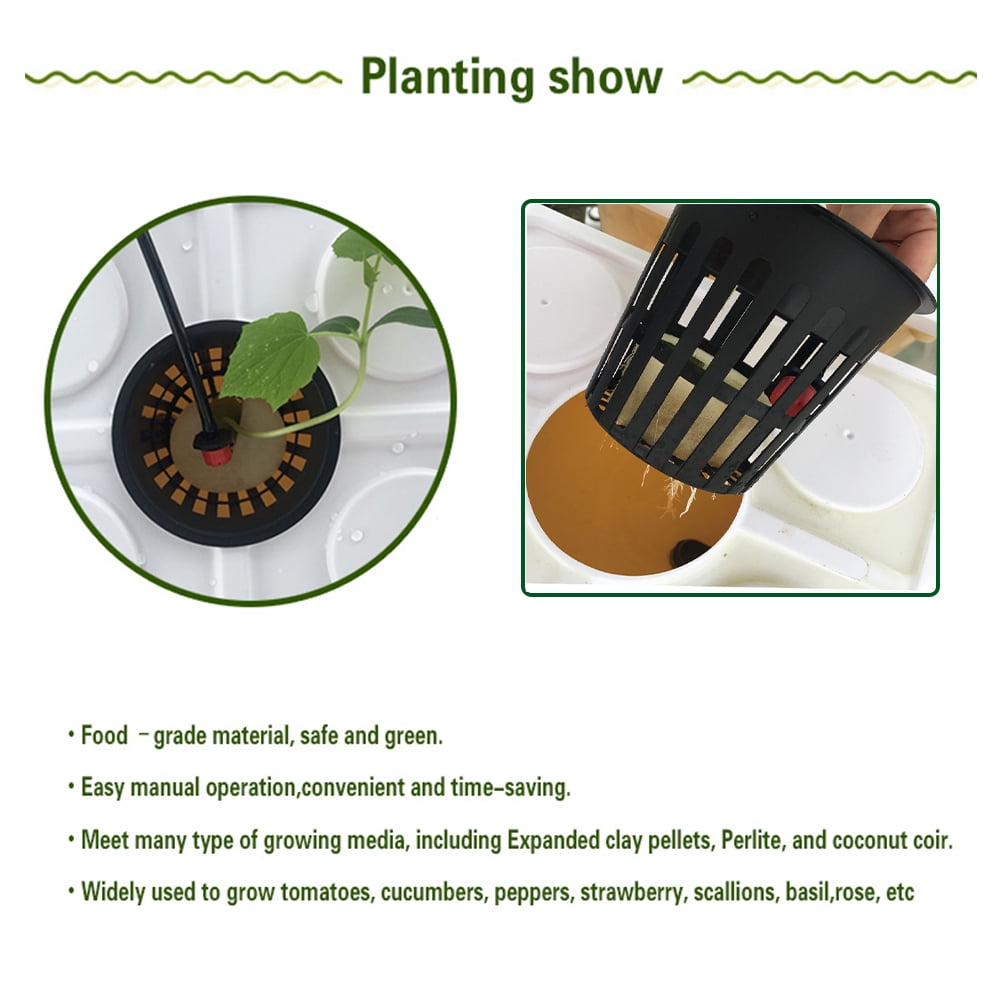 Buy EQCOTWEA Hydroponic Bato Bucket 6 Plant Site Grow Kit BoxType