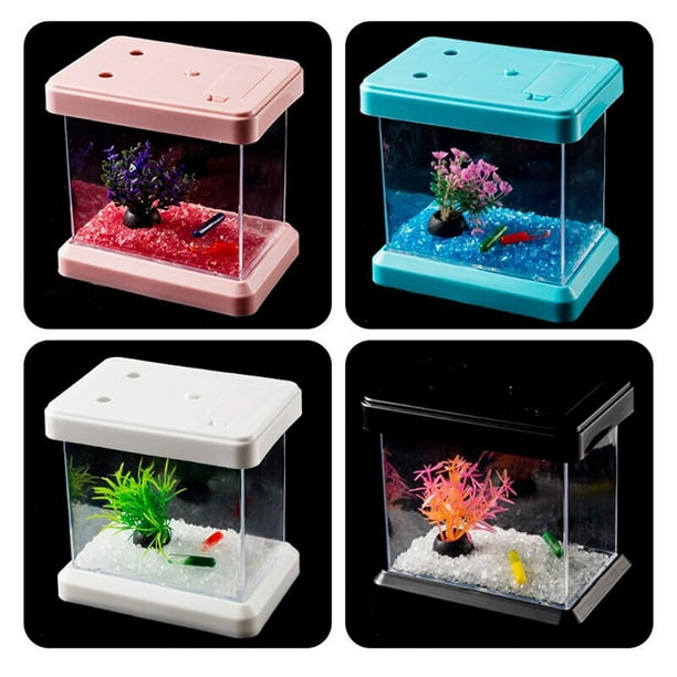 Mini aquarium coloré changeant de couleur bureau détachable visualisation  boîte d'aménagement paysager pour poisson tortues Reptiles décoration de