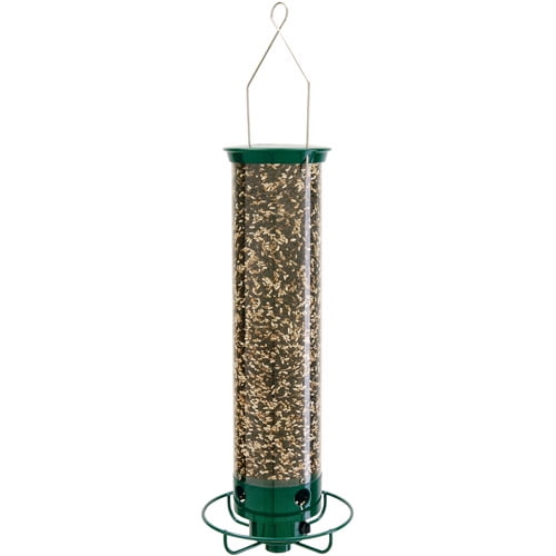 Droll Yankees B7 Domed Cage With 6 Port Sunflower Bird Feeder for sale online 