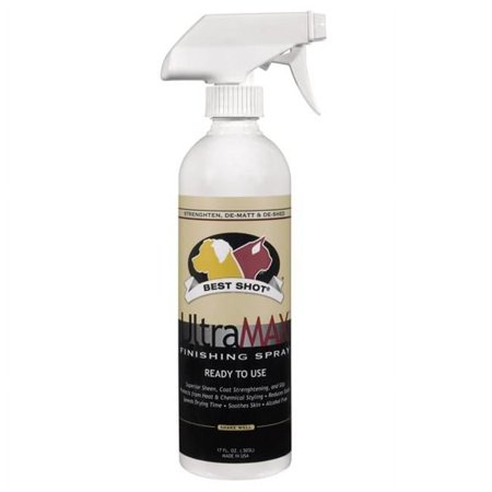 UPC: 0183941161150 | BT UltraMax Pro Finish Spray 17 oz