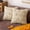 Beige, variant on Maple Leaf Fall Throw Pillow Covers 18"x18" Set of 2, Rust Red Farmhouse Decorative Pillow Covers for Autumn Harvest Holiday Accent Pillow Cases, Faux Fur Pillow Covers for Couch Bed Room