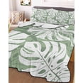 thumbnail image 3 of Quilts Twin-XL Size Bedding Set, Sage Green Monstera Deliciosa Lightweight Quilted Comforter, Summer Botanical Tropical Soft Reversible Bedspread Coverlet with Pillow Covers for All Season, 68" x 98", 3 of 7