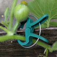 thumbnail image 4 of 40 Pcs Plant Clips And Tomato Clips And Gardening Plants Support,plant Clips Compatib, 4 of 5