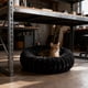 thumbnail image 5 of Camas de peluche con forma de donut para perros pequeños, camas redondas para dormir, sofás cama para perros y gatos, cómodas almohadas cálidas, camas cueva de 40 cm, camas lavables de felpa suave co, 5 of 6