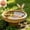 D, variant on Solid Copper Disk for Bird Bath Cleaner,Natural Algae Control Water Purifier, Chemical-Free Outdoor Basin Cleaner for Fountains, Safe for Birds & Wildlife, Low-Maintenance Garden Water Care