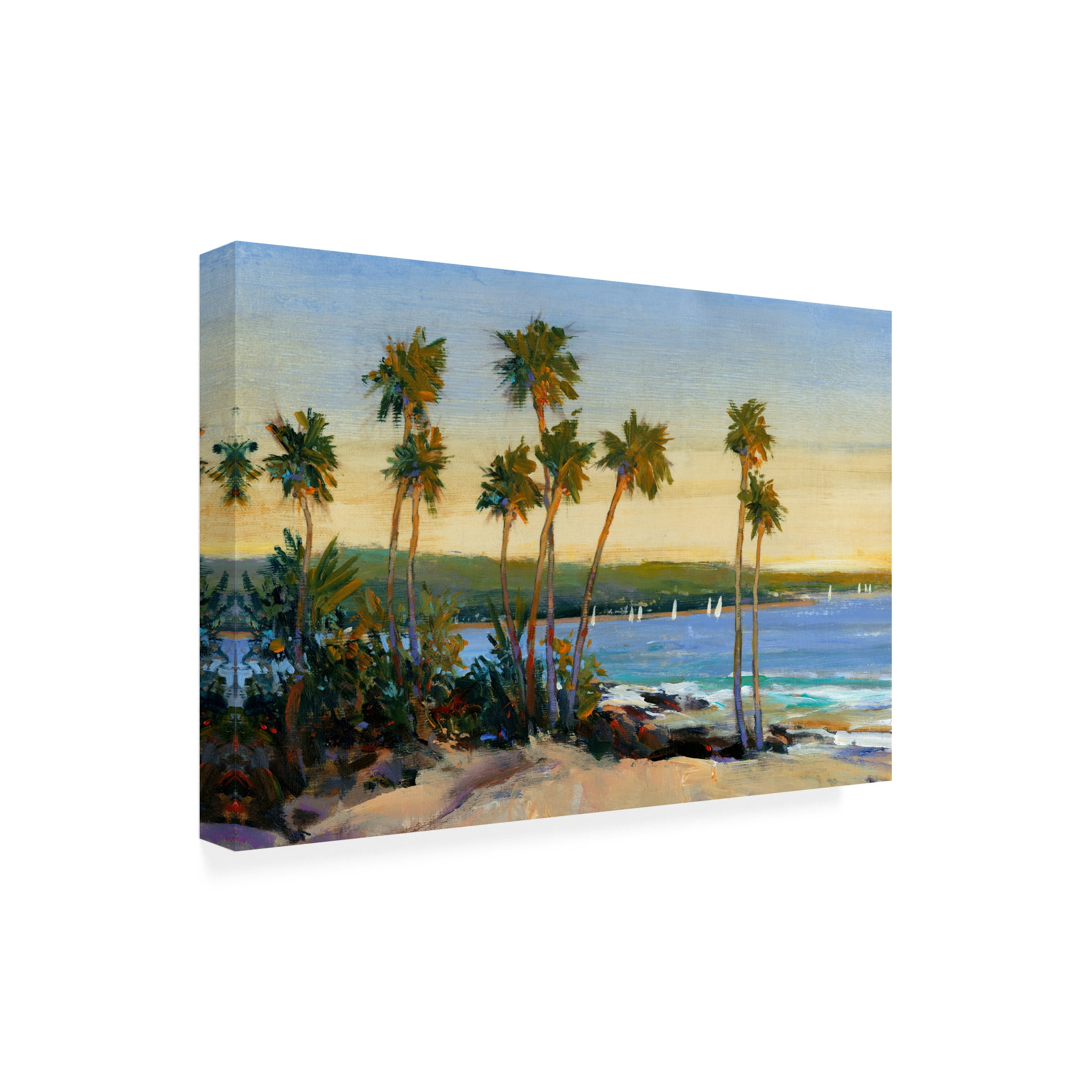 Tim O'Toole 'Distant Shore II' Outdoor Canvas 22x24