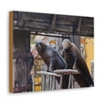thumbnail image 2 of Funny Walrus Silly Walrus Inside Wall Art Ready to Hang Unframed, 2 of 18