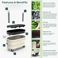 thumbnail image 5 of Permasteel Self-Watering Garden Bed, Rolling Planter for Vegetables, Flowers, Herbs, and Fruit, Outdoor Indoor, Caster Wheels, Ivory, 5 of 9