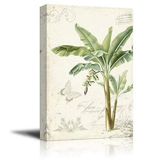 wall26 Canvas Wall Art - Vintage Stylet Tropical Plant with Giant Leaves - Giclee Print Gallery Wrap Modern Home Art Ready to Hang - 24x36 inches
