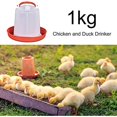 thumbnail image 3 of Comedero para pollos, bebedero para aves de corral, comedero y bebedero para pollitos, bebedero para aves de corral, bebedero de plástico para pollos con asa de transporte para aves de corral, pollit, 3 of 4