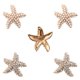 thumbnail image 1 of Xqingmei 10 Piezas Elegantes Perlas Finas Diamantes De Imitación Estrella De Mar Adornos De Metal Con Parte Posterior Plana Accesorios De Decoración Diy Clip Para El Cabello Botones De Concha De Teléf, 1 of 1