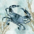 thumbnail image 3 of Robinson, Carol 15x15 Black Modern Framed Museum Art Print Titled - Navy Crab, 3 of 5