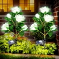 thumbnail image 1 of Luces solares para jardín Anordsem, 10 rosas LED impermeables, paquete de 2, 1 of 8