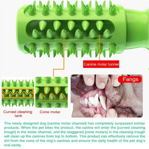 Cinhao Dog Toothbrush Chew Toy Puppy Toys Teeth Cleaning Stick Natural Rubber Dental Care Toothbrush Dog Toys for Medium And Large Dogs Green Othe