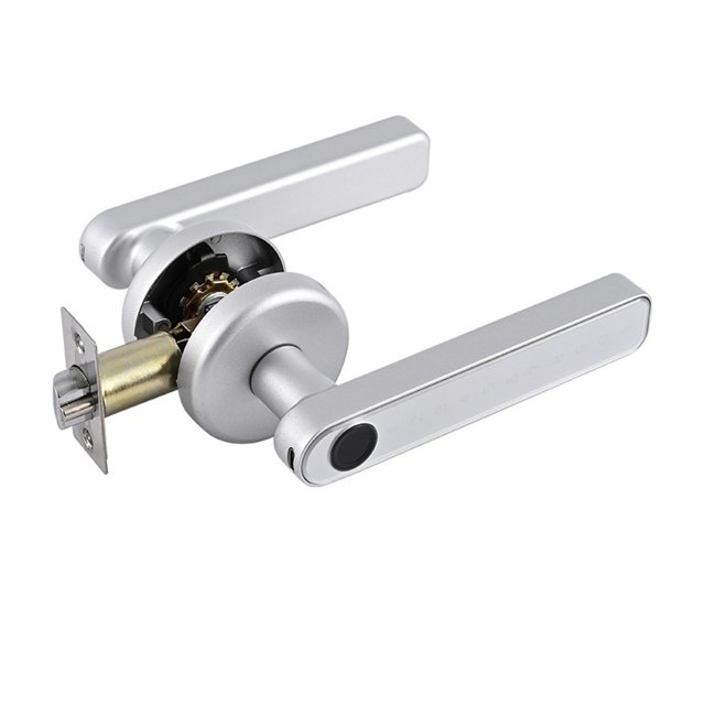 Smart Door Lock with Knob Keyl Entry Locks with Handle Fingerprint for Bedroom