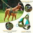 thumbnail image 2 of TSYKHAIA No Pull Dog Harness and Leash Set - Adjustable Vest with Soft Padding, Reflective Escape-Proof for Easy Walking and Training, 2 of 8