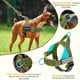 thumbnail image 2 of TSYKHAIA Juego de Arnés y Correa para Perros sin Tirones: Chaleco Ajustable con Acolchado Suave, Reflectante a Prueba de Escapes para Caminar y Entrenar Fácilmente, 2 of 8