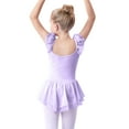 thumbnail image 6 of Timegard Toddler Girls Clothes Ruffle Cap Sleeve Leotards Dance Dresses Outfit Ballerina with Mesh Skirt, 6 of 6