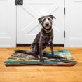 thumbnail image 2 of Qxltty Toucan Bird Ped Pad Wear-resistant and Hard to Bite Through Sleeping Pad for Small Medium Large Dogs Winter Pet Bed 24×18in, 2 of 6