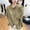 Army Green, variant on Olyvenn Linen Shirts for Women Summer Casual Long Sleeve Ruffle Collar Blouse Cute Plus Size Loose Comfy Flowy Beach Tops 2025 Purple XXXL