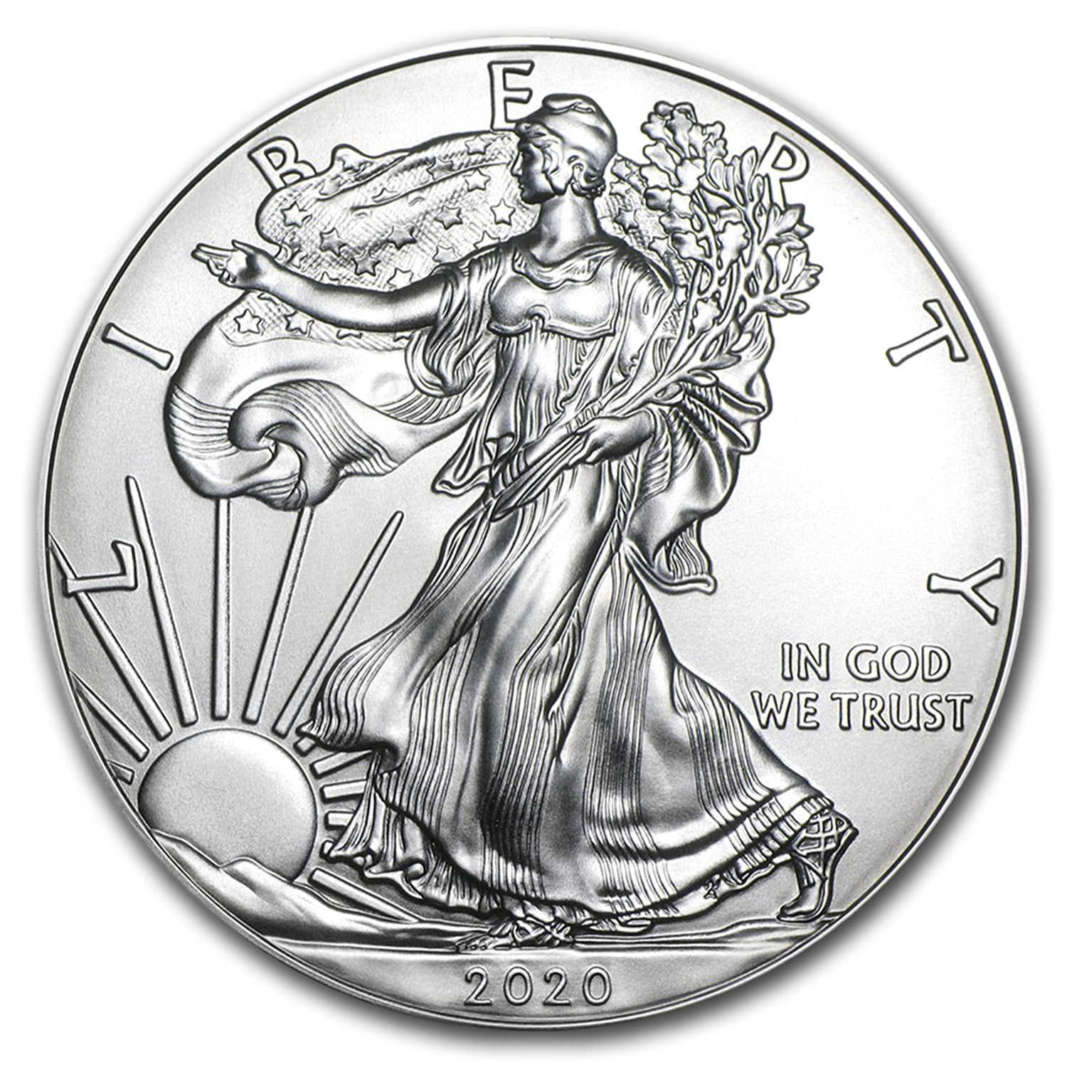 2010 American Silver Eagle BU 1 oz Coin US $1 Dollar Mint Uncirculated Capsule 