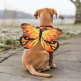 thumbnail image 5 of Pet Party Decoration Chest Transformation for Puppy and Cat Cute Accessory, 5 of 7