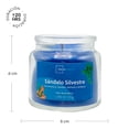 thumbnail image 2 of Vela Mainstays Sándalo Silvestre 85 G, 2 of 4