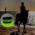 thumbnail image 1 of 4 piezas de iluminación LED Correa de pierna Advertencia de seguridad ajustable Suministro ecuestre de tobillo Cinturón reflectante Cola Correa de pata de caballo, 1 of 8