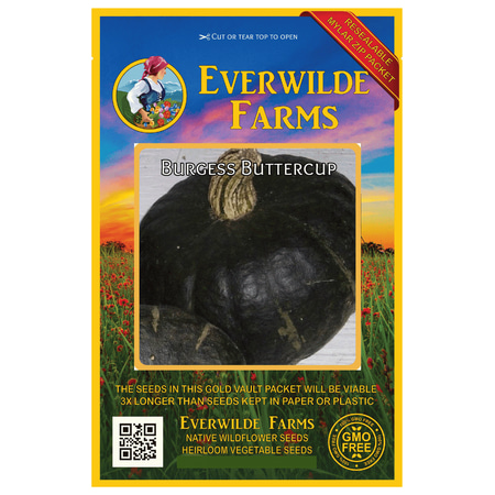 Burgess Seed And Plant Co Everwilde Farms - 40 Burgess Buttercup Winter Squash Seeds - Gold Vault Jumbo Bulk Seed Packet ()