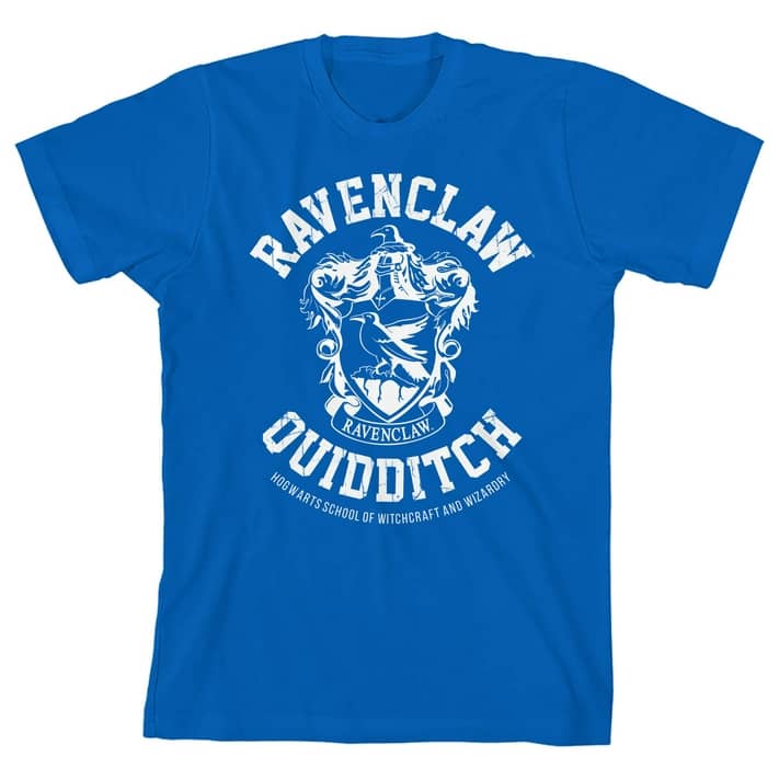 Uitsteken Leraar op school Echter Harry Potter Ravenclaw Quidditch Boy's Royal Blue T-shirt-XL - Walmart.com