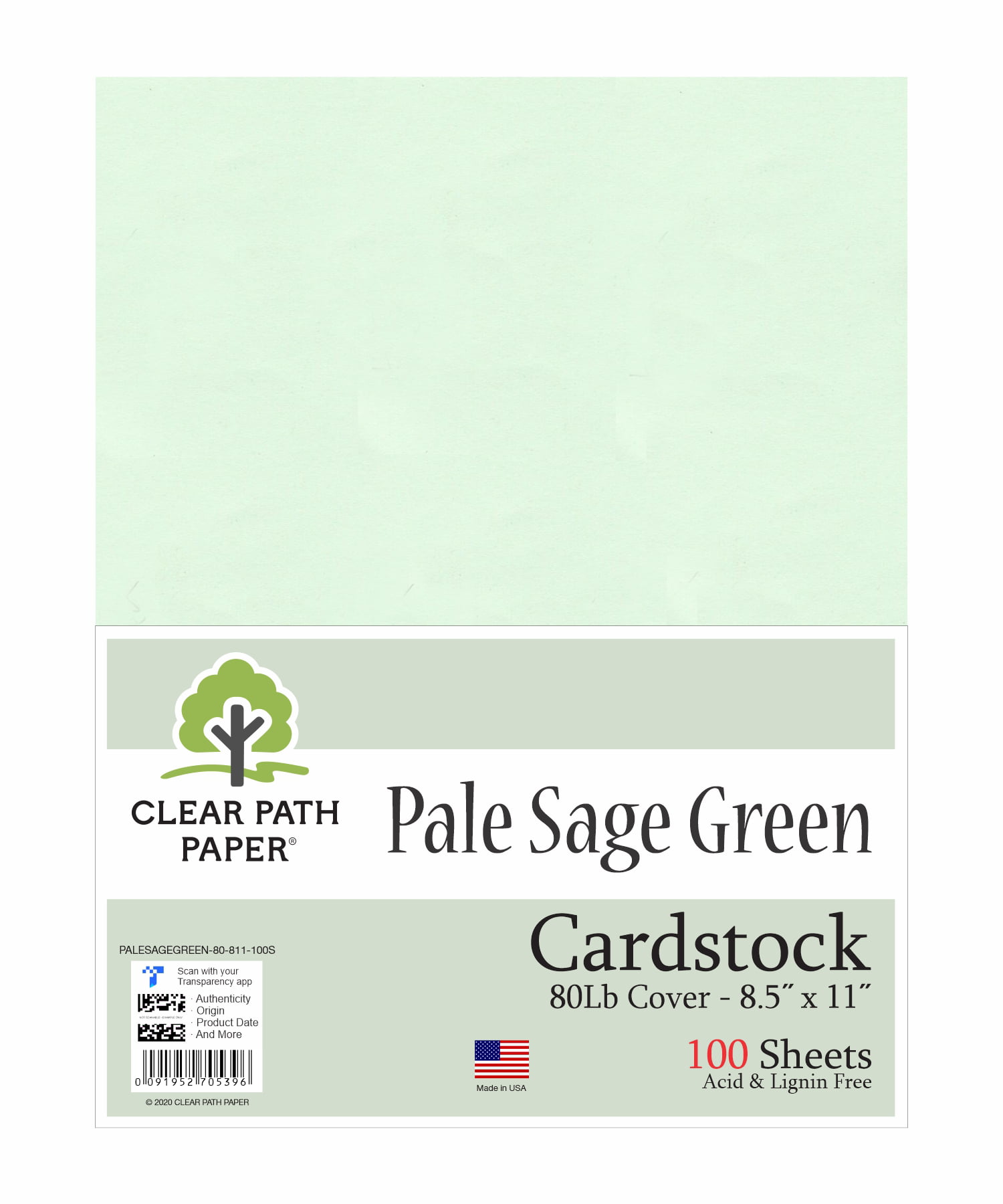 Sage Card Stock 8.5 x 11