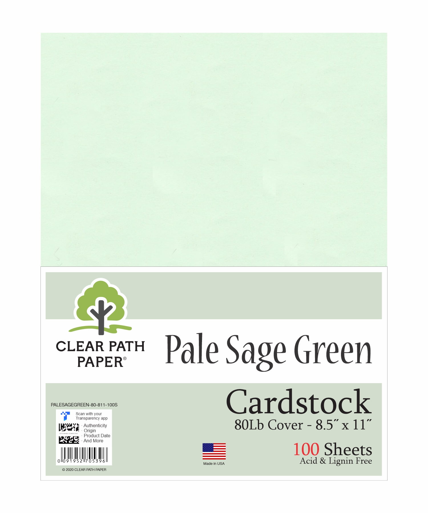 Pale Sage Green Cardstock 8.5 x 11 inch 80Lb Cover 100 Sheets