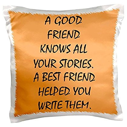 - 3dRose A good friend knows all your stories, best friend helped write them, Pillow Case, 16 by 16-inch