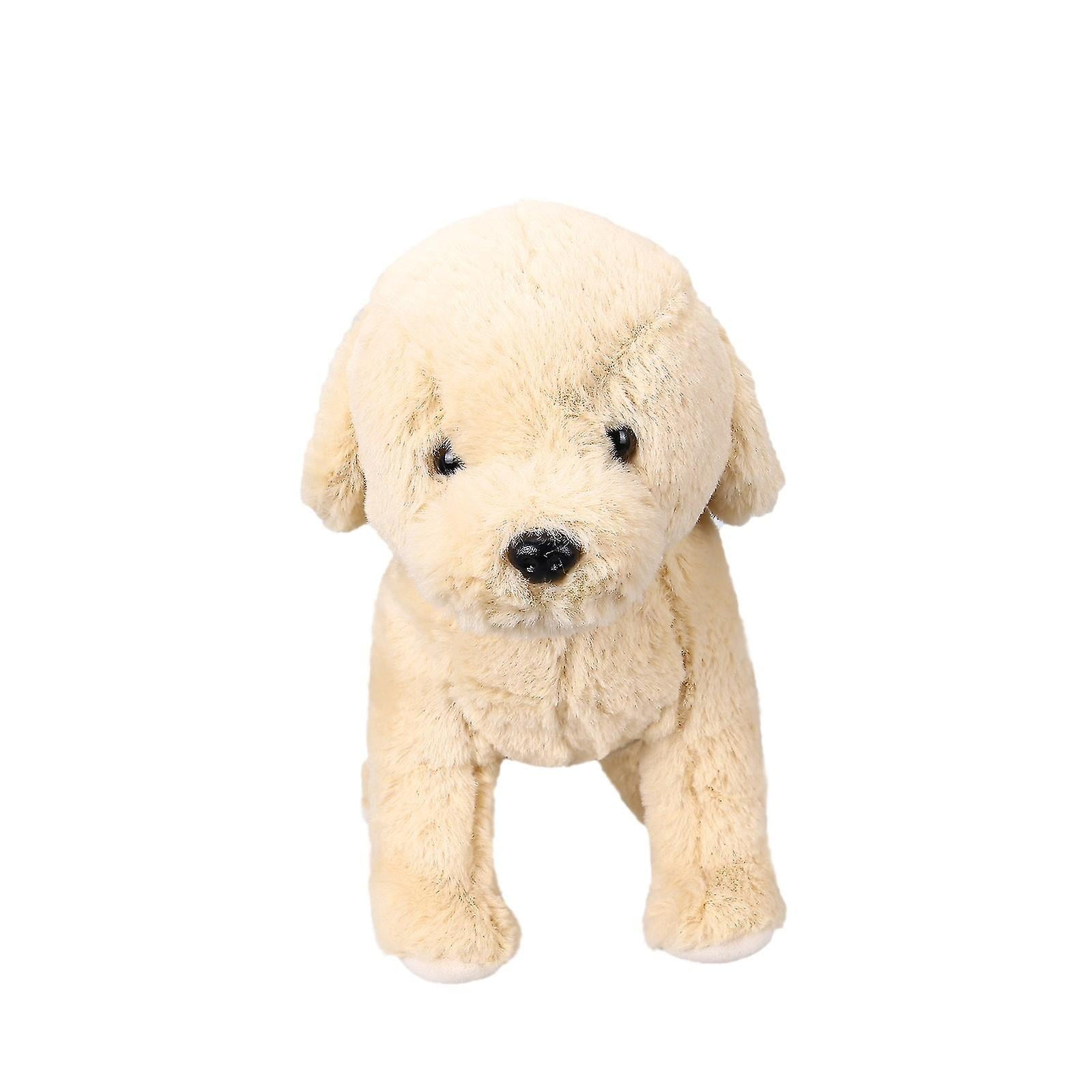 Teddy dog lucky discount