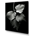 thumbnail image 2 of Designart "Black And White Foliage On Ebony" Leaves Canvas Prints, 2 of 7