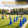 thumbnail image 4 of Dog Agility Training Set – Obstacle Course Kit with Cones & Crossbar Jump Poles, Coordination Exercise Equipment for Dogs, Multi-Sport Practice Gear for Equestrian & Soccer Drills(RL 1 Set), 4 of 6