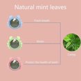 thumbnail image 3 of 3pcs Catnip Wall Ball Toys Edible Licking Toy Chew Toy Teeth Cleaning Bite Toy Rotatable Indoor Toy, 3 of 5