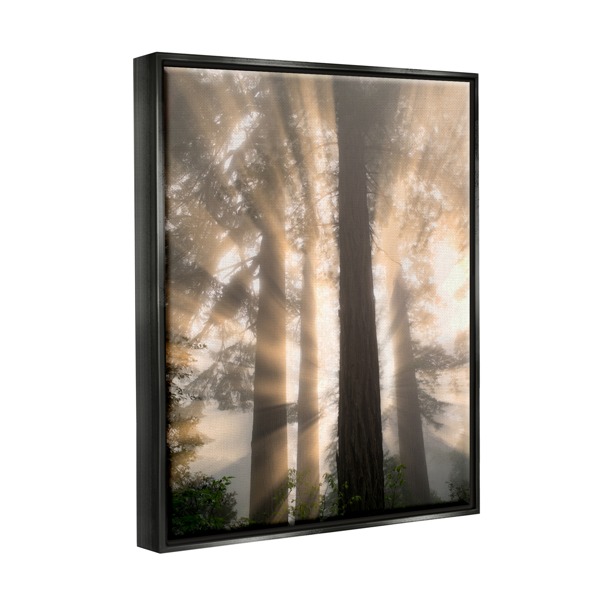 Stupell Industries Sun Rays Woodland Trees View Landscape Photography Black Floater Framed Art Print Wall Art