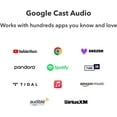 thumbnail image 4 of Pro AirPlay 2 Receiver, Google Cast Audio, WiFi Multiroom Streamer, Compatible with Alexa, Siri and Google Assistant, Stream Hi-Res Audio from Spotify, Music, Tidal and More, 4 of 4