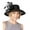 Black, variant on August Hat Women’s Sheer-Stripe Romantic Hats, Natural, One Size