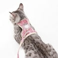 thumbnail image 3 of Bueautybox Cat Harness and Leash - Ultra Light Escape Proof Kitten Collar Cat Walking Jacket, 3 of 7