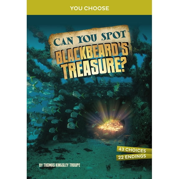 You Choose: Treasure Hunters Can You Spot Blackbeard's Treasure?: An Interactive Treasure Adventure, (Hardcover)
