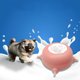 thumbnail image 3 of Comedero para cachorros y gatitos, tazón de leche con 3 tetinas, para recién nacidos. Rosado, 3 of 8