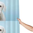 thumbnail image 3 of Sigee Puppy Licks Nose for Waterproof Fabric Shower Curtain 72" W x 72" H for Bathroom Shower Curtain, 3 of 5