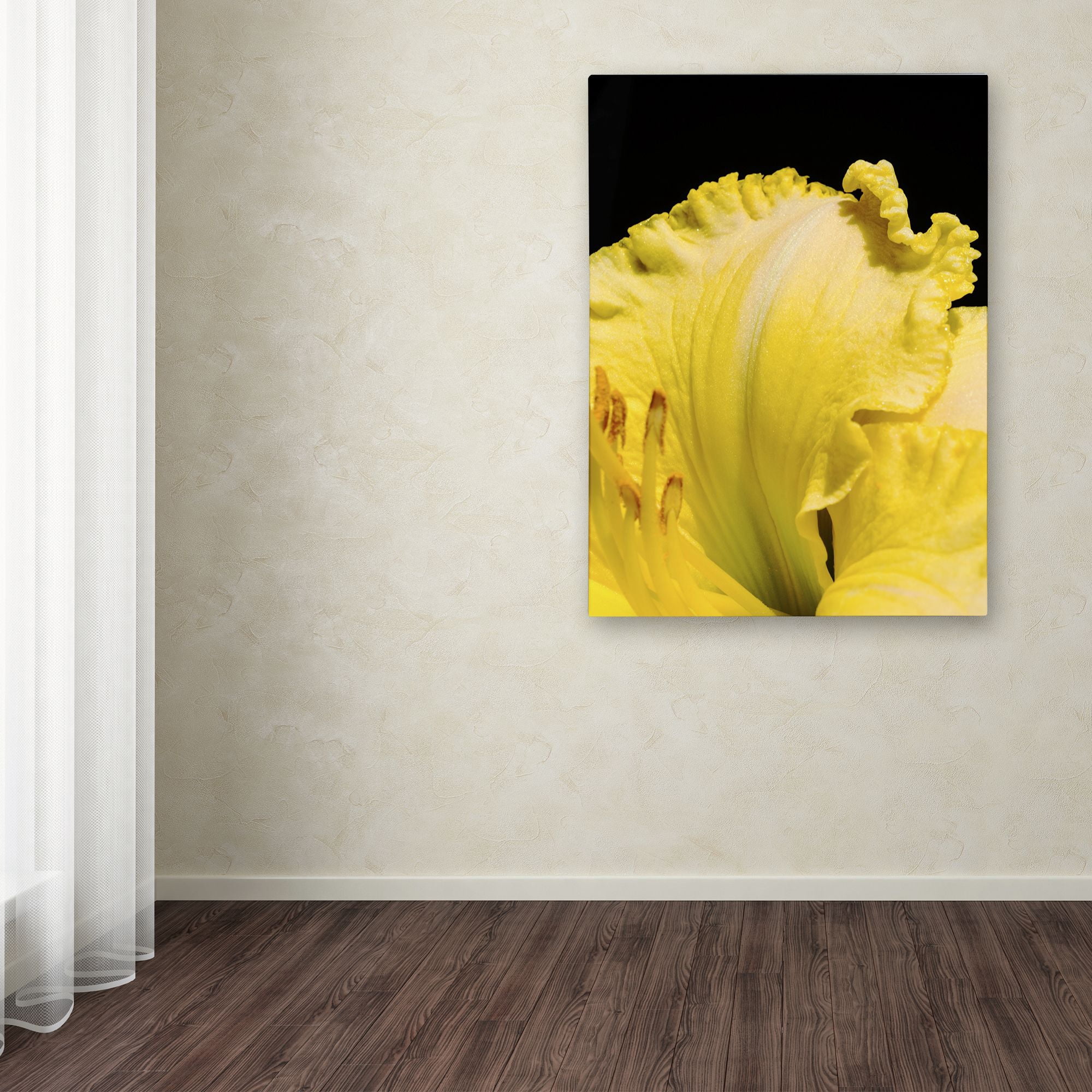 Trademark Fine Art "Day Lily Abstract" Canvas Art by Kurt Shaffer